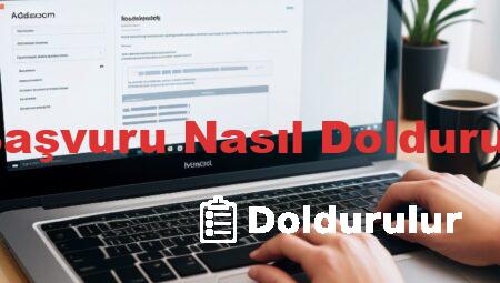 e Başvuru Nasıl Doldurulur