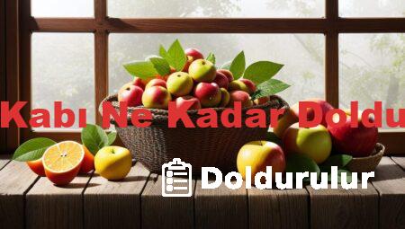Gaita Kabı Ne Kadar Doldurulur?