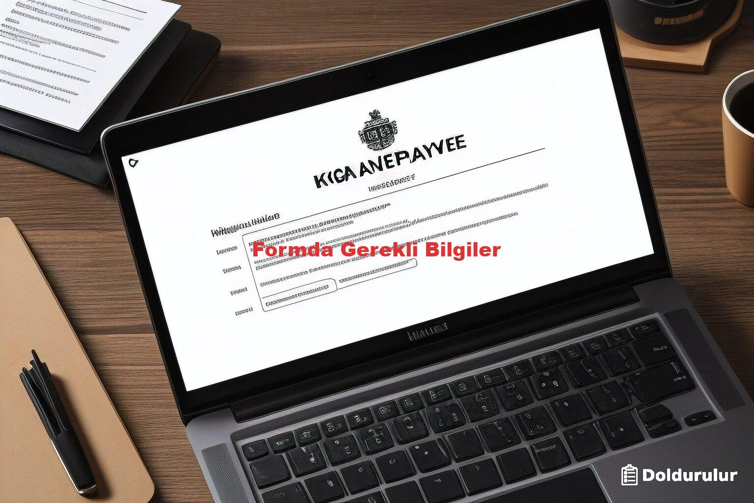 Formda Gerekli Bilgiler