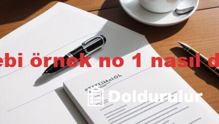 takip talebi örnek no 1 nasıl doldurulur