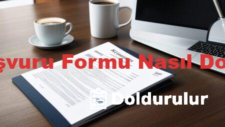 Vize Başvuru Formu Nasıl Doldurulur