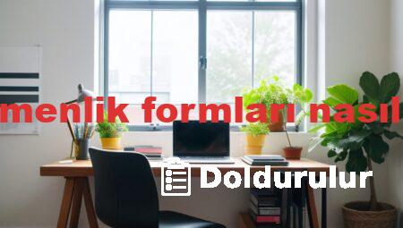 aday öğretmenlik formları nasıl doldurulur