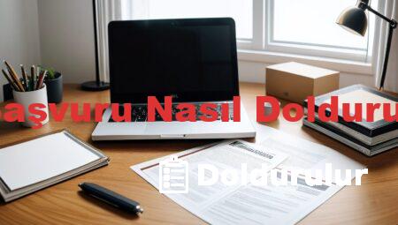 e Başvuru Nasıl Doldurulur