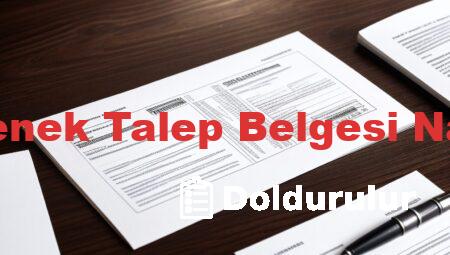 Gelir Aylık Ödenek Talep Belgesi Nasıl Doldurulur