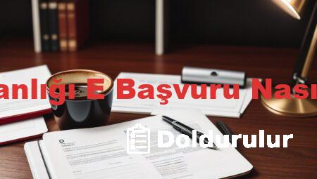 İçişleri Bakanlığı E Başvuru Nasıl Doldurulur