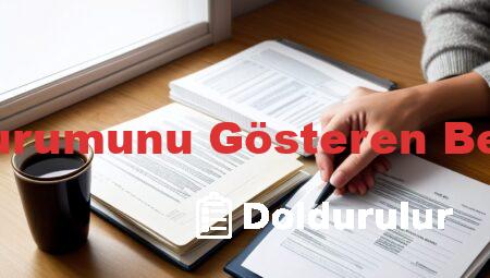 Öğrenci Ailesinin Maddi Durumunu Gösteren Beyanname Nasıl Doldurulur