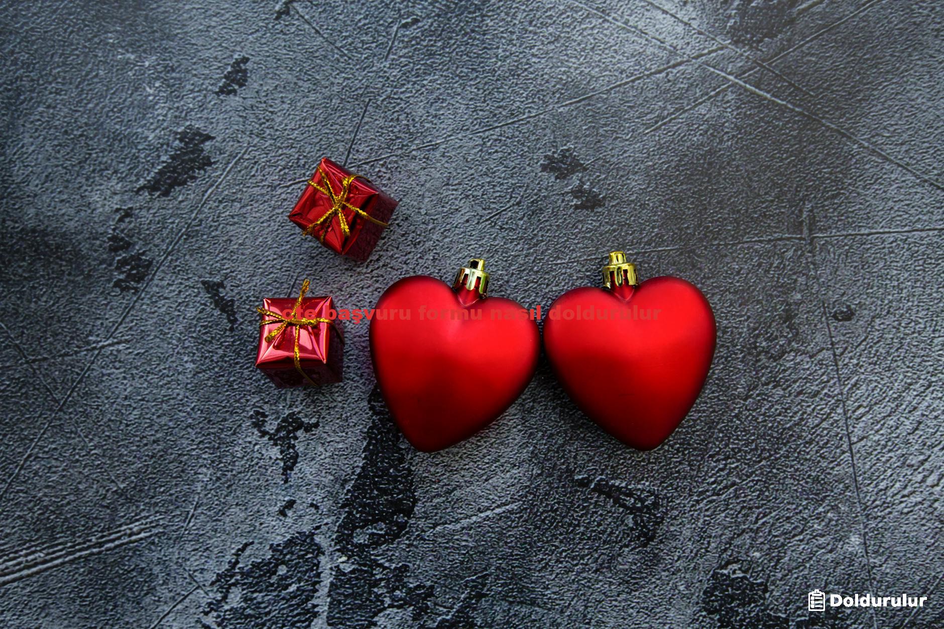 cte başvuru formu nasıl doldurulur