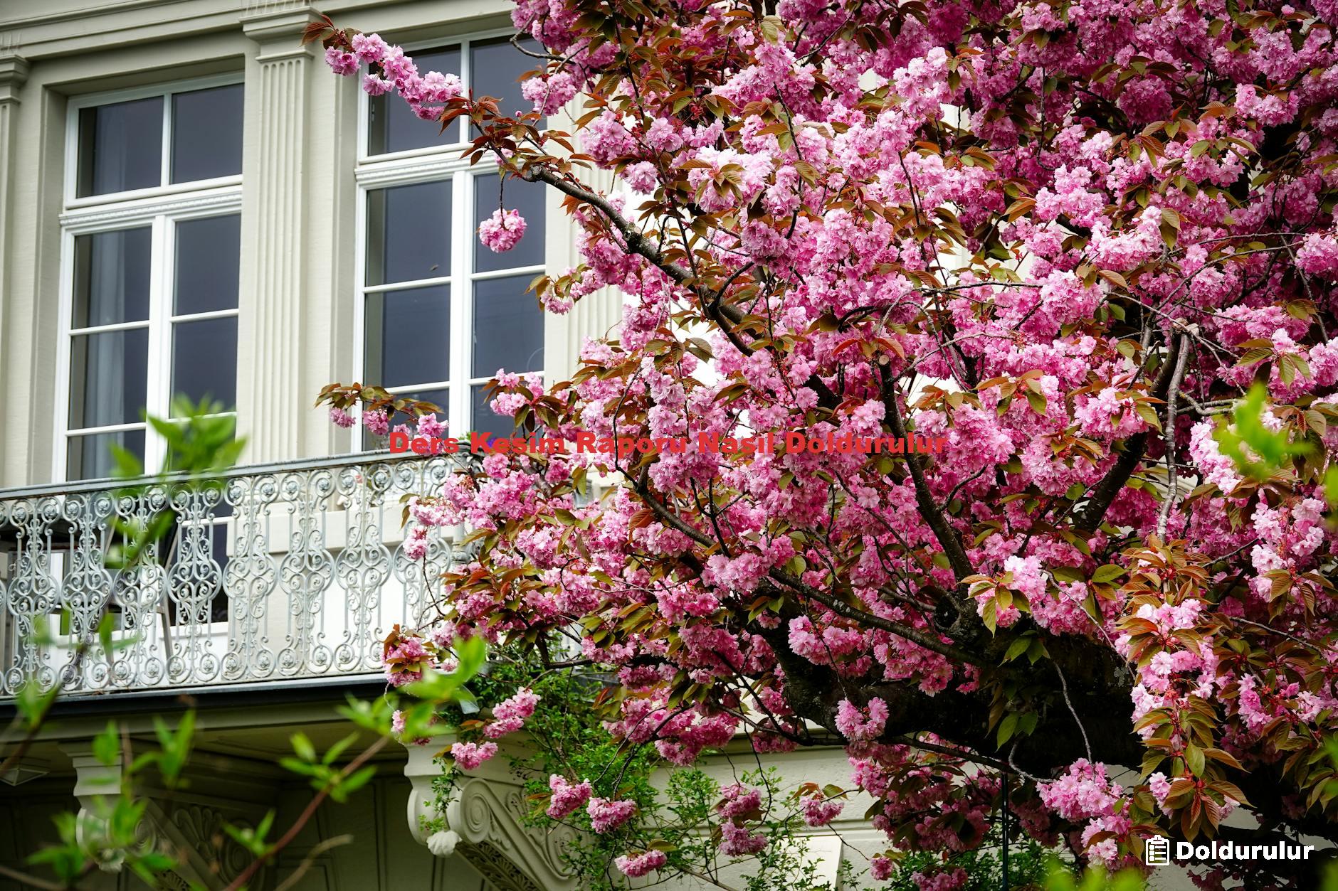 Ders Kesim Raporu Nasıl Doldurulur