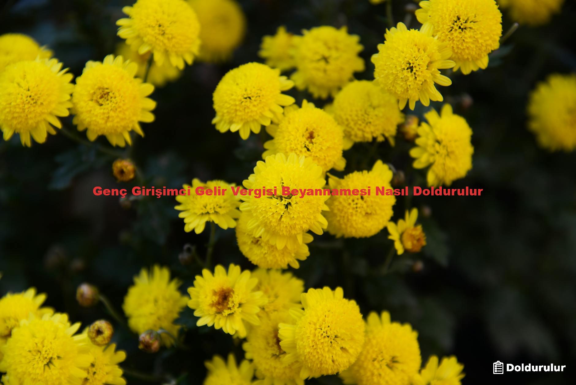 Genç Girişimci Gelir Vergisi Beyannamesi Nasıl Doldurulur