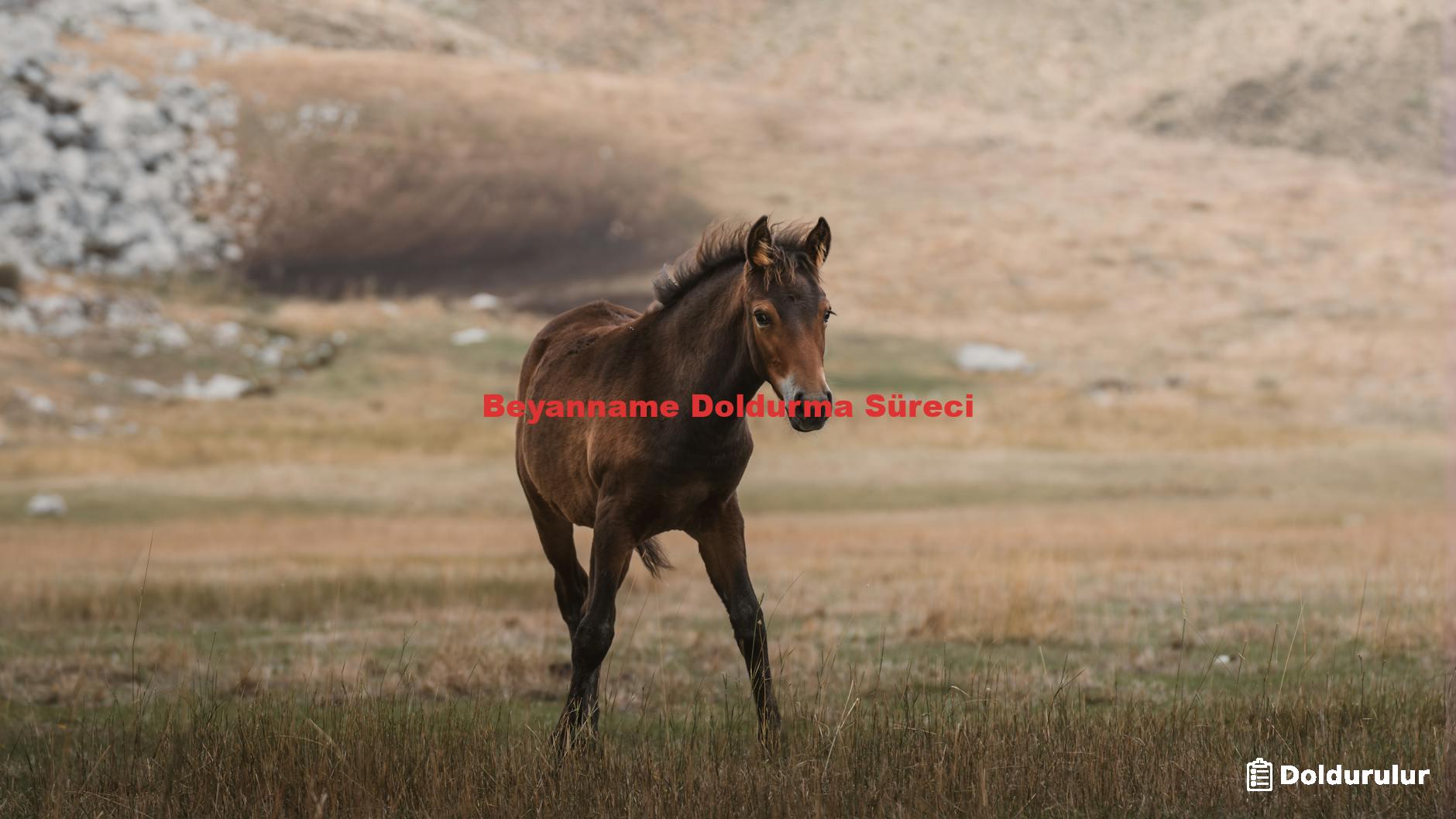 Beyanname Doldurma Süreci