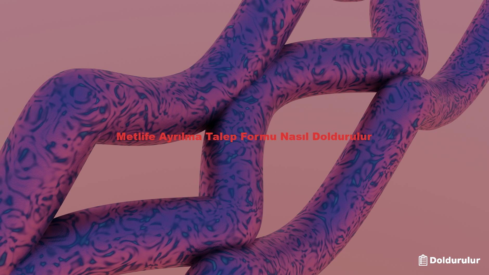 Metlife Ayrılma Talep Formu Nasıl Doldurulur