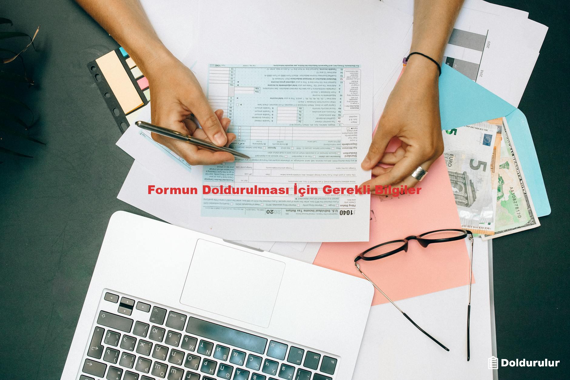 Formun Doldurulması İçin Gerekli Bilgiler