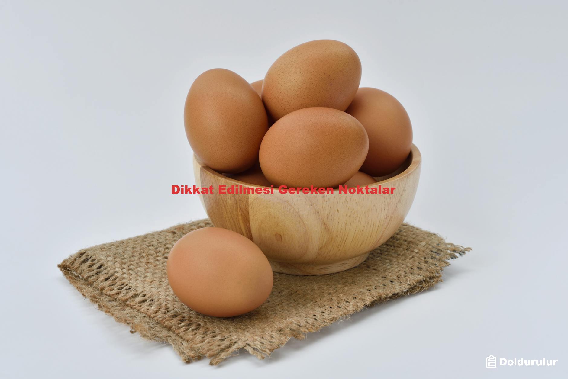 Dikkat Edilmesi Gereken Noktalar