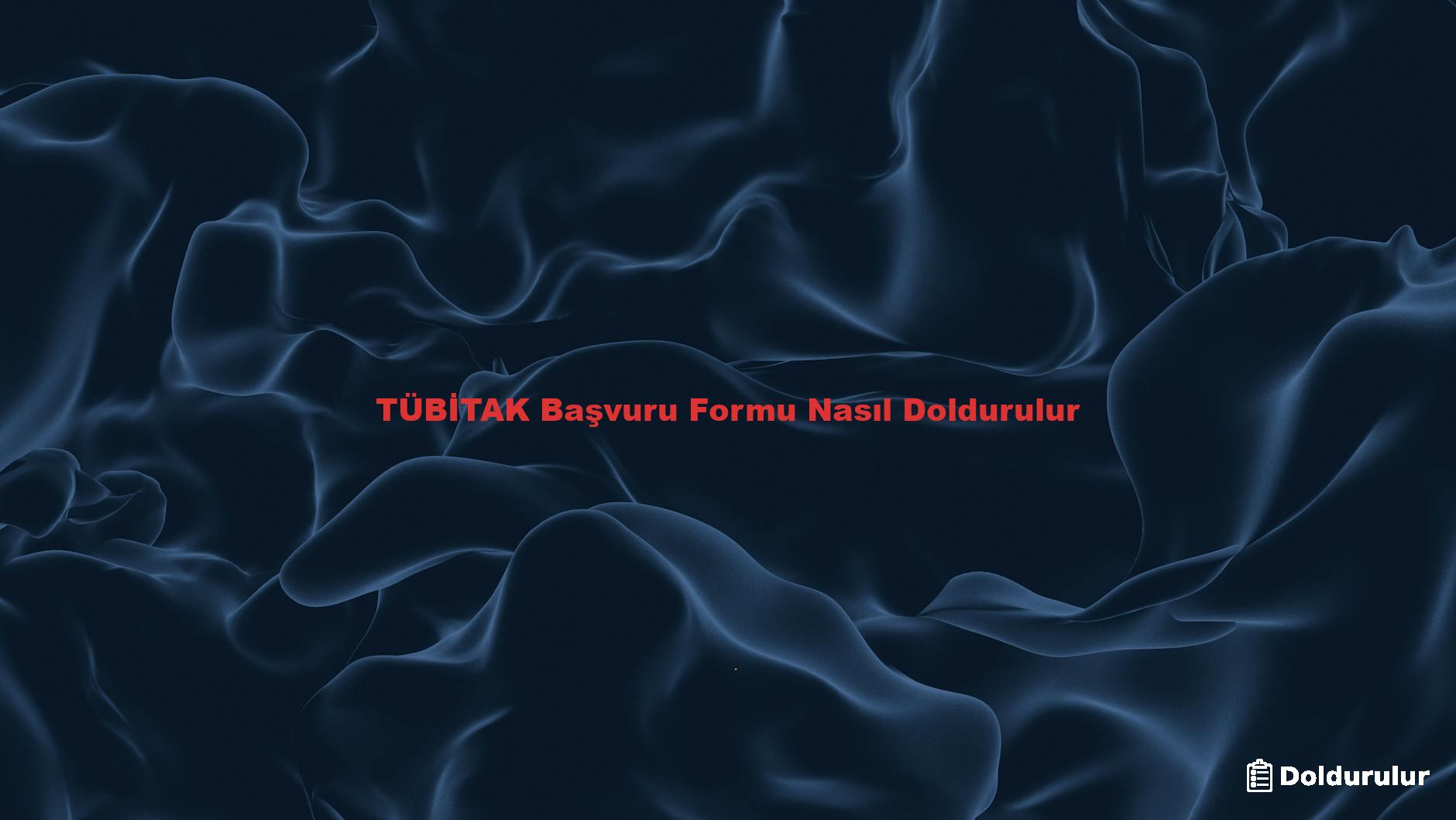 TÜBİTAK Başvuru Formu Nasıl Doldurulur