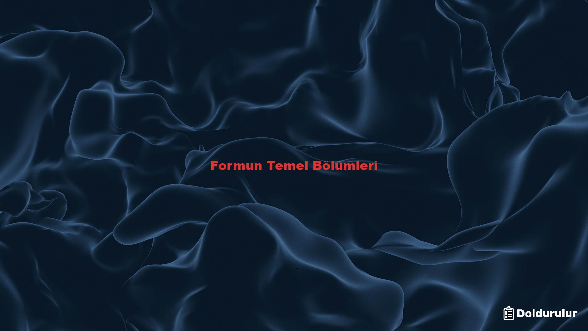 Formun Temel Bölümleri