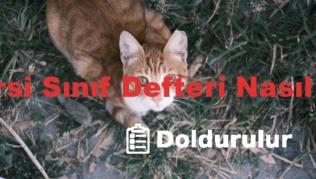 Türkçe Dersi Sınıf Defteri Nasıl Doldurulur