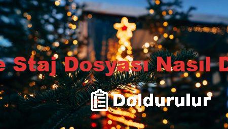 Üniversite Staj Dosyası Nasıl Doldurulur