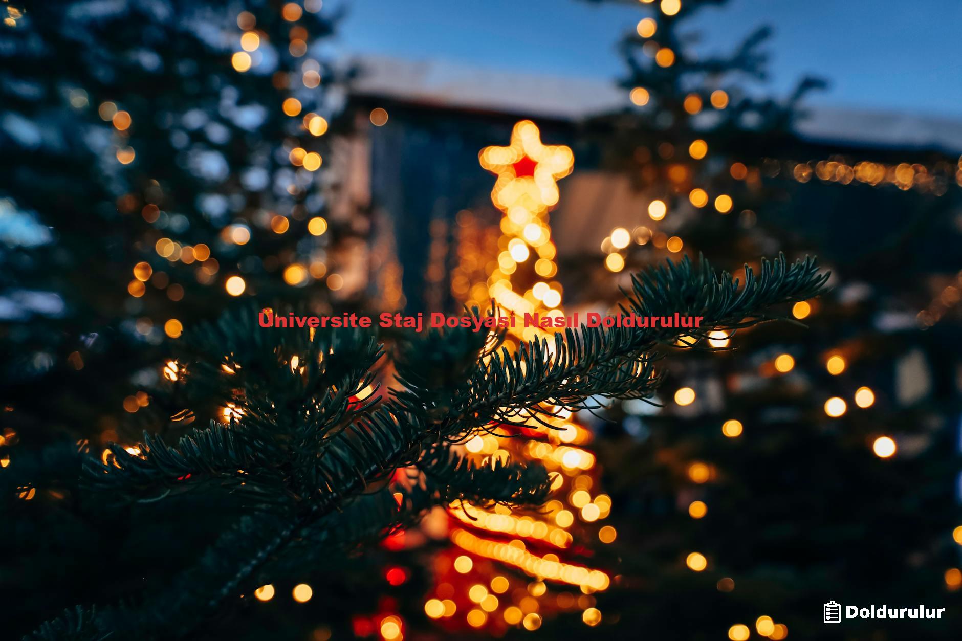 Üniversite Staj Dosyası Nasıl Doldurulur