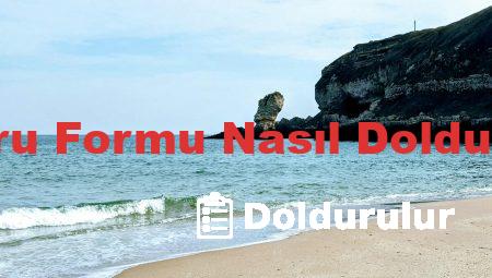 Vize Başvuru Formu Nasıl Doldurulur Örnek