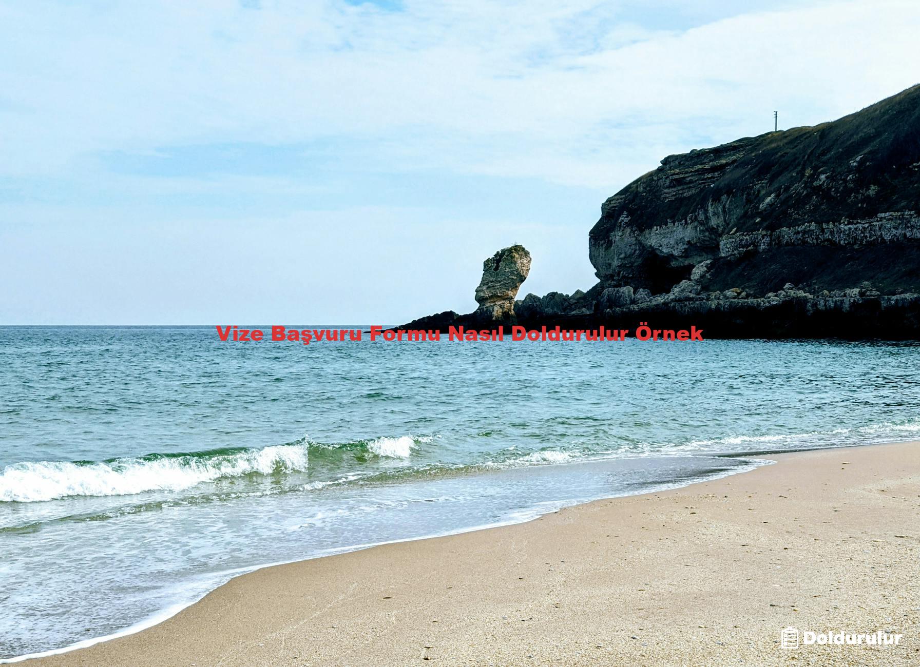 Vize Başvuru Formu Nasıl Doldurulur Örnek