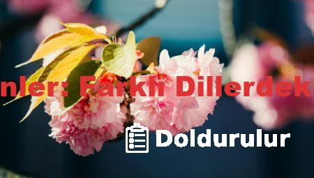 Almanca Günler: Farklı Dillerdeki Eşleşmeler