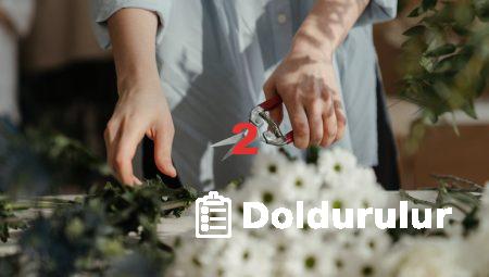 Aksaray Çiçek Gönderimi: Hangi Çiçekleri Seçmelisiniz?