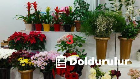 Floksia.com ile Çiçek Gönderirken Dikkat Edilmesi Gerekenler